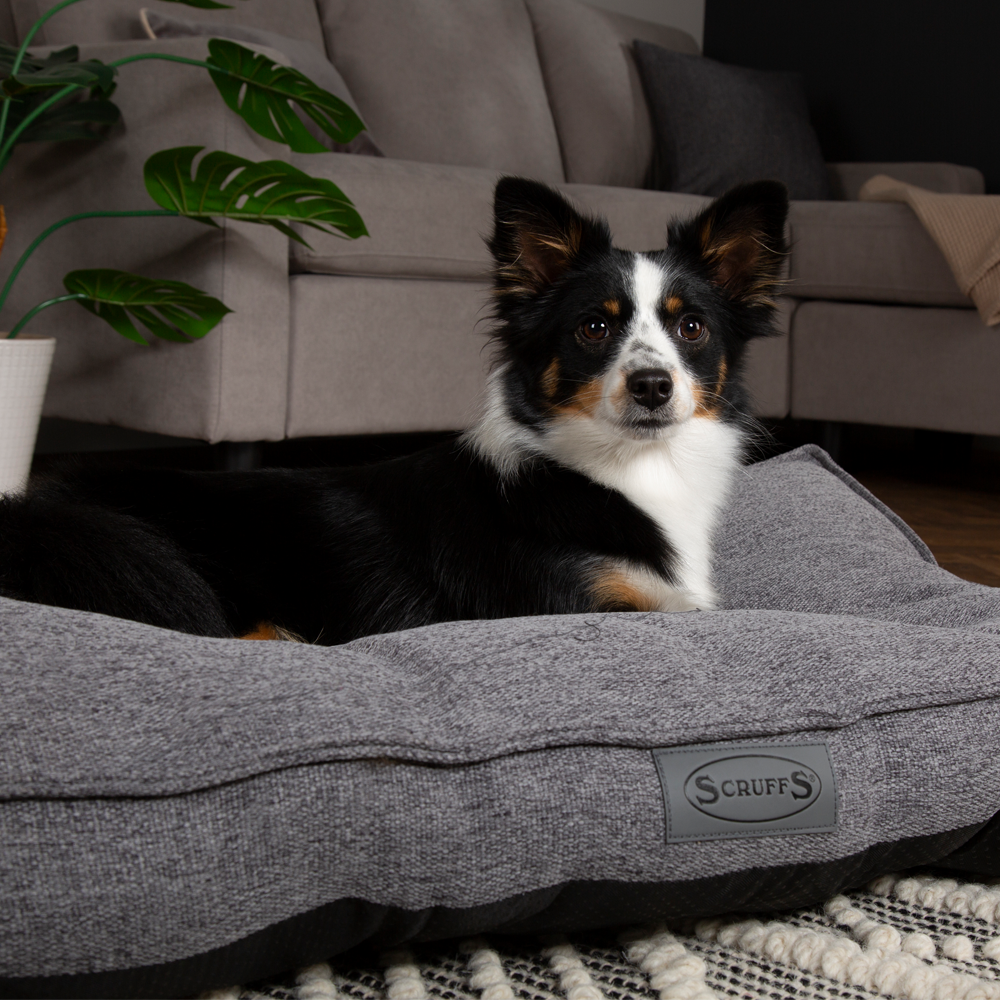 Manhattan Dog Mattress (in Berry Purple, Dark Grey, Denim Blue or Light Grey) by Scruffs-13