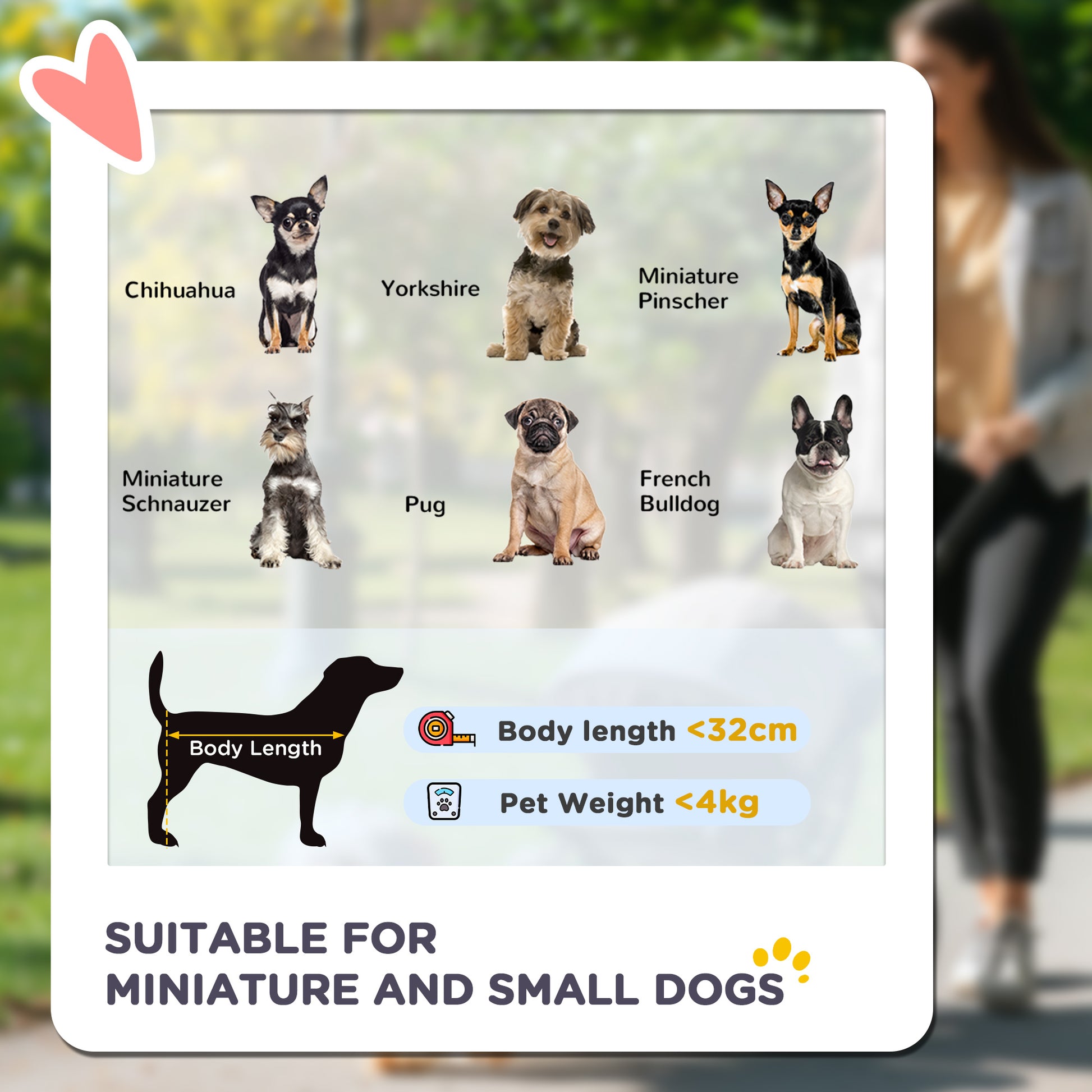 PawHut Pet Stroller, Foldable Cat Dog Pushchair, Pet Travel Carriage with 4 Wheels, Adjustable Canopy, Safety Leashes, Storage Basket and Cup Holder for Small Dogs, Black-2