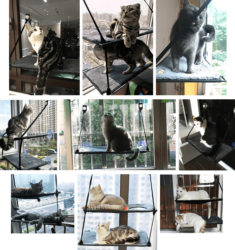 Luxury Cat Hammock Bed With Super Suction Cup - Removable And Washable-2