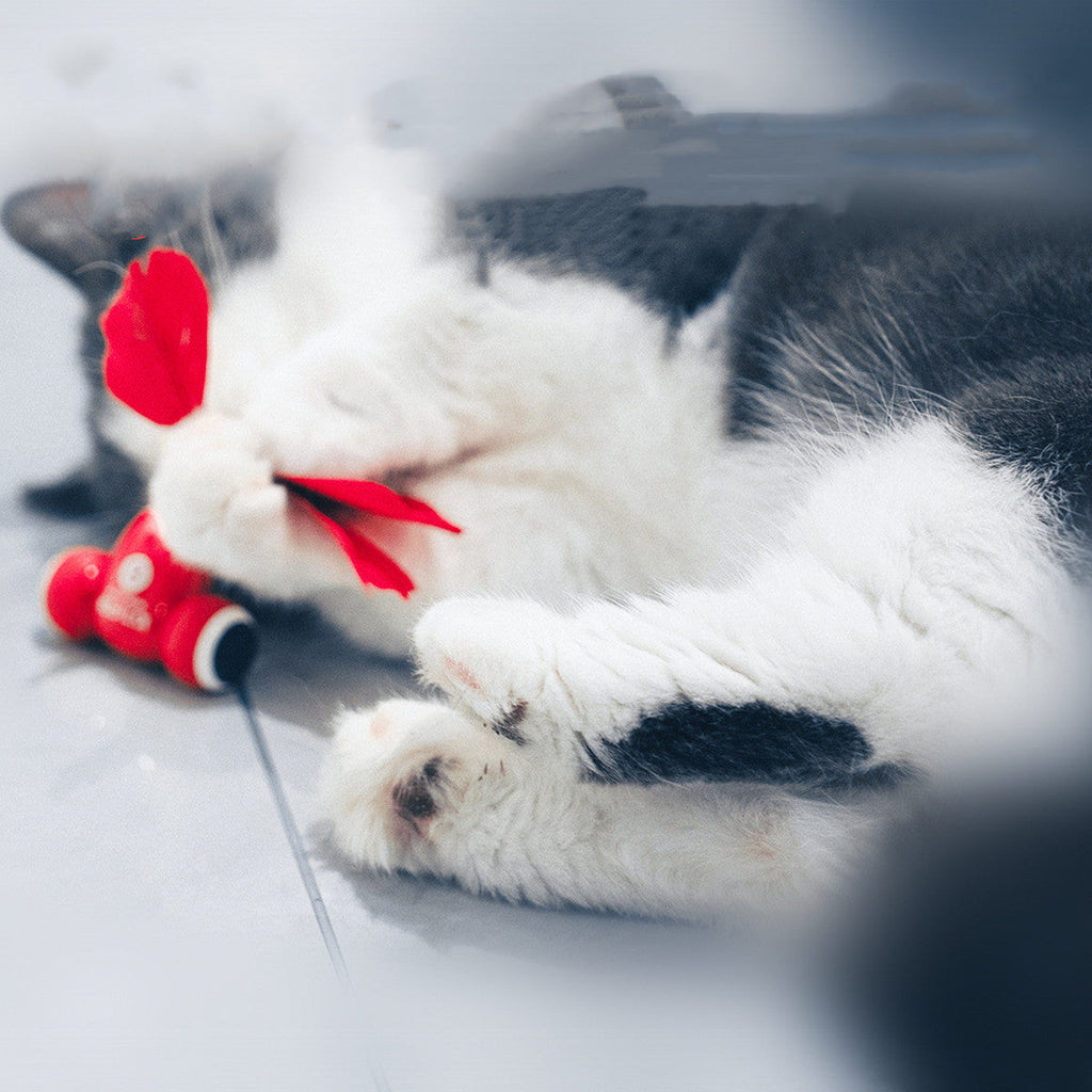 Smart Cat Playtime Set-0
