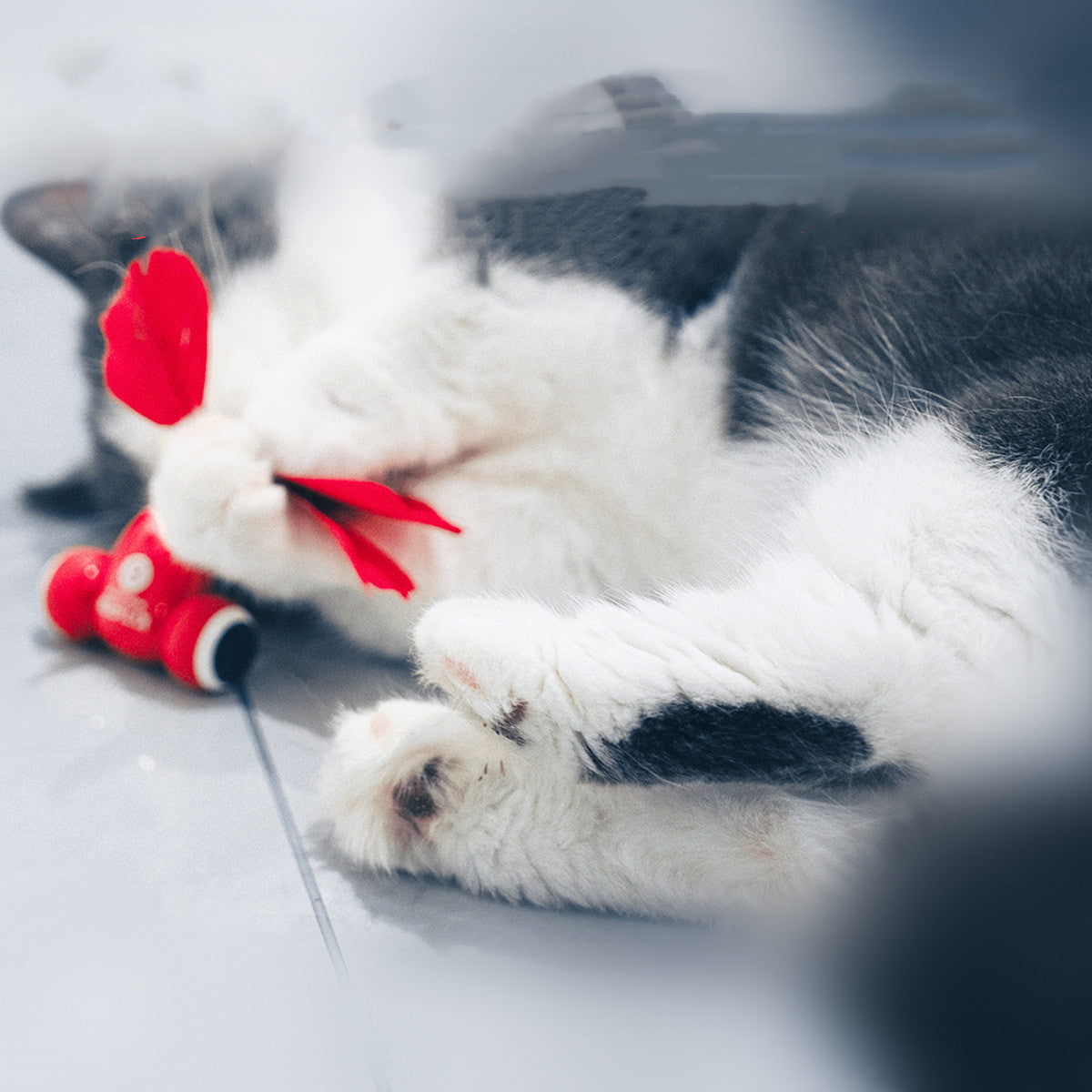 Smart Cat Playtime Set-0
