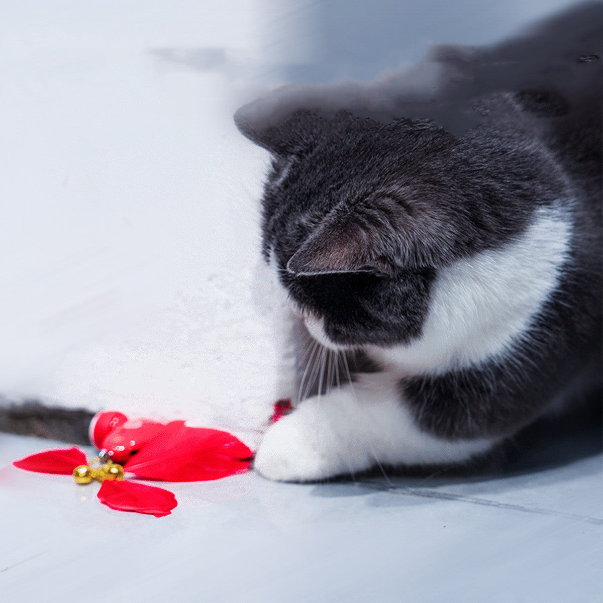 Smart Cat Playtime Set-1