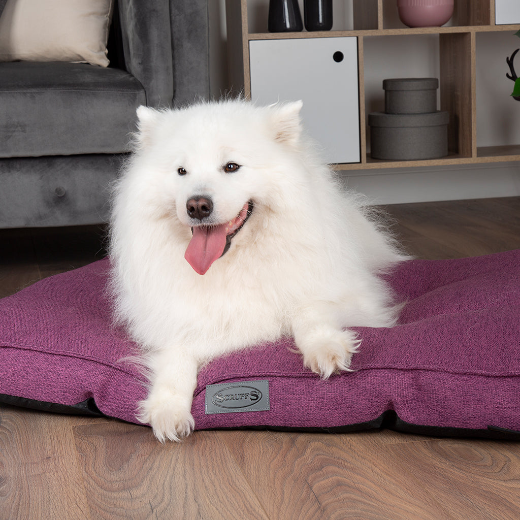 Manhattan Dog Mattress (in Berry Purple, Dark Grey, Denim Blue or Light Grey) by Scruffs-4
