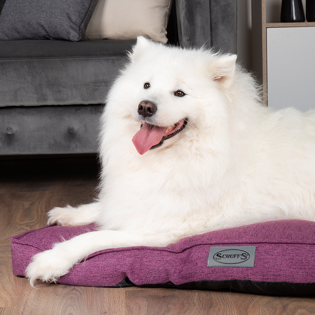 Manhattan Dog Mattress (in Berry Purple, Dark Grey, Denim Blue or Light Grey) by Scruffs-3