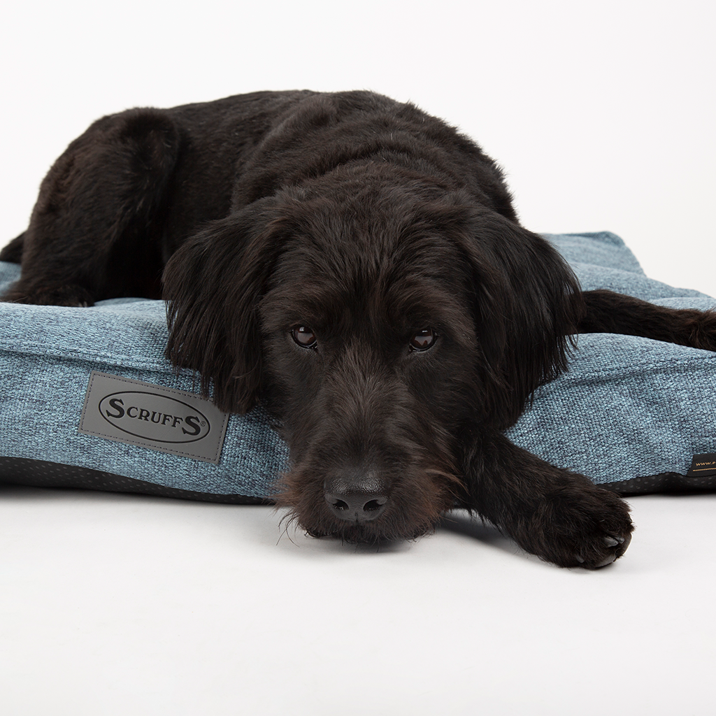 Manhattan Dog Mattress (in Berry Purple, Dark Grey, Denim Blue or Light Grey) by Scruffs-9