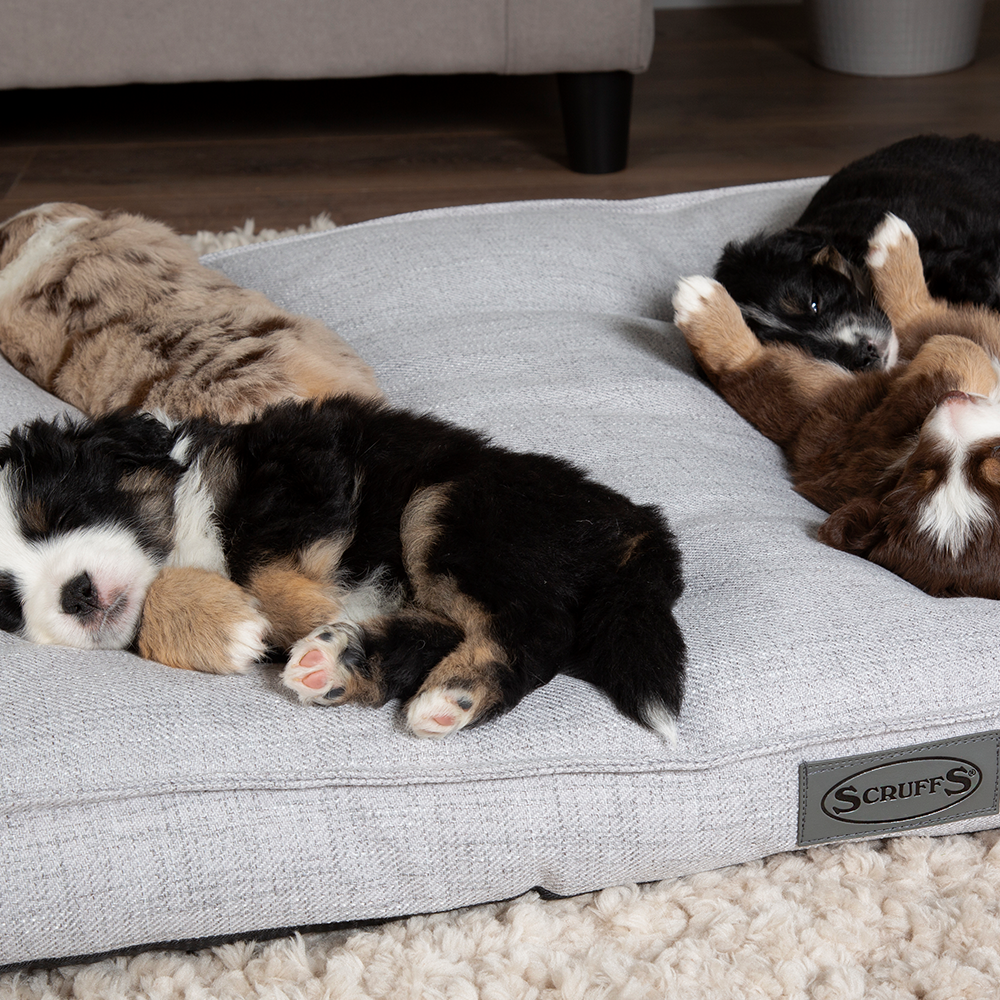 Manhattan Dog Mattress (in Berry Purple, Dark Grey, Denim Blue or Light Grey) by Scruffs-18
