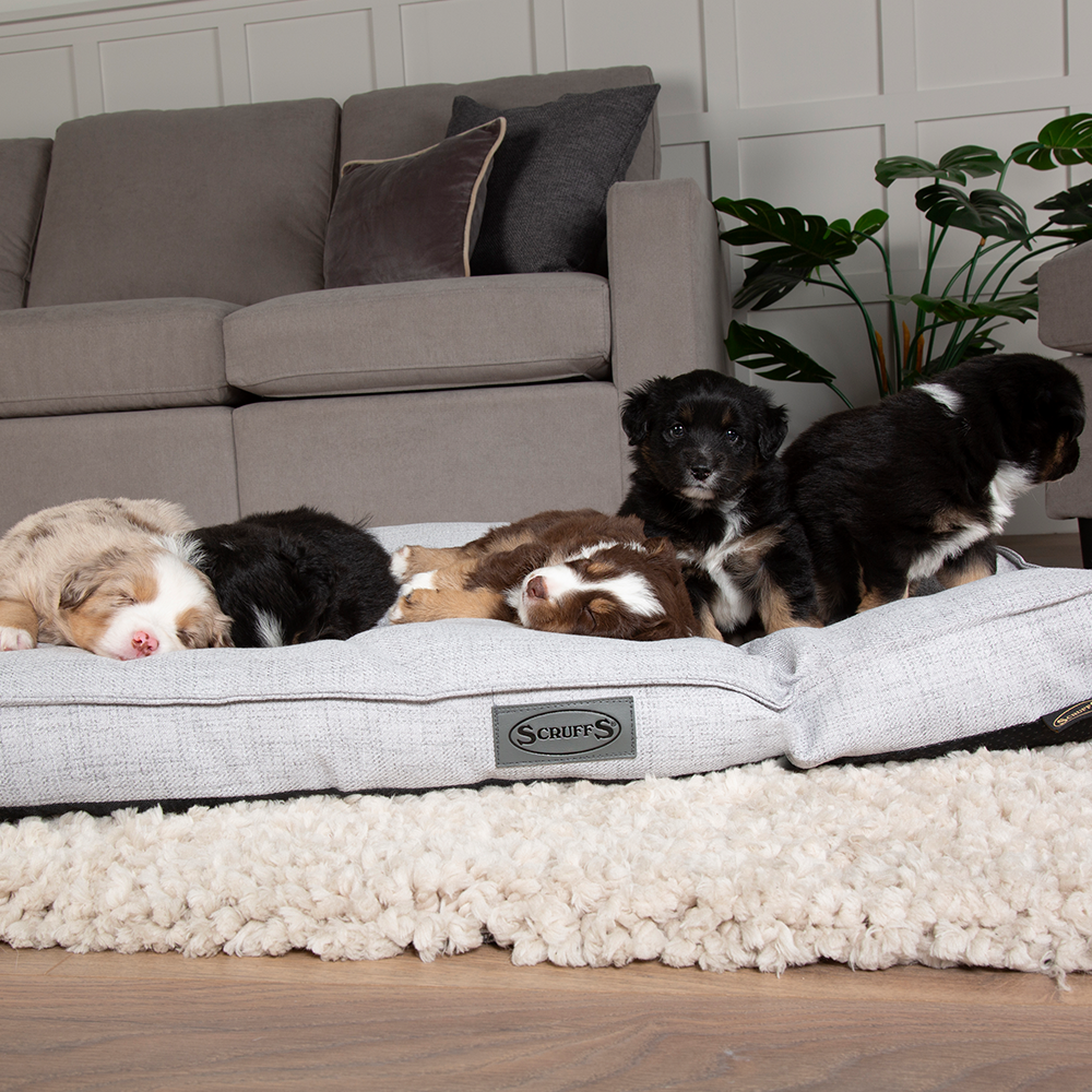 Manhattan Dog Mattress (in Berry Purple, Dark Grey, Denim Blue or Light Grey) by Scruffs-20