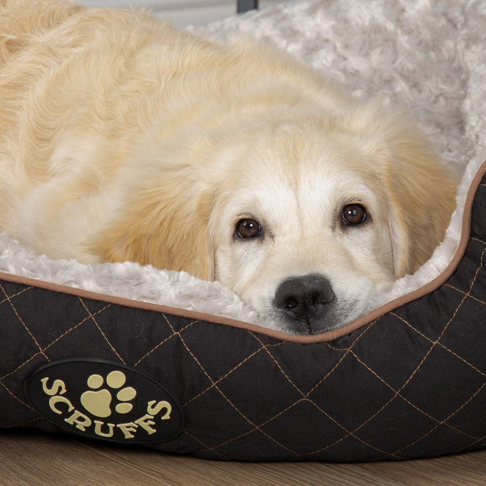 Wilton Box Dog Bed (in Blue, Grey, Black, Brown) by Scruffs-10