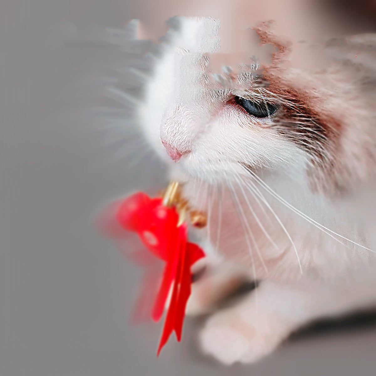 Smart Cat Playtime Set-2