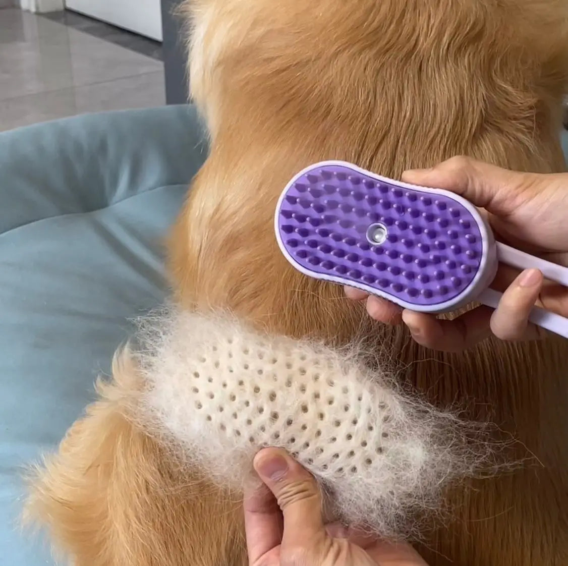 Electric Pet Grooming Spray Comb-5