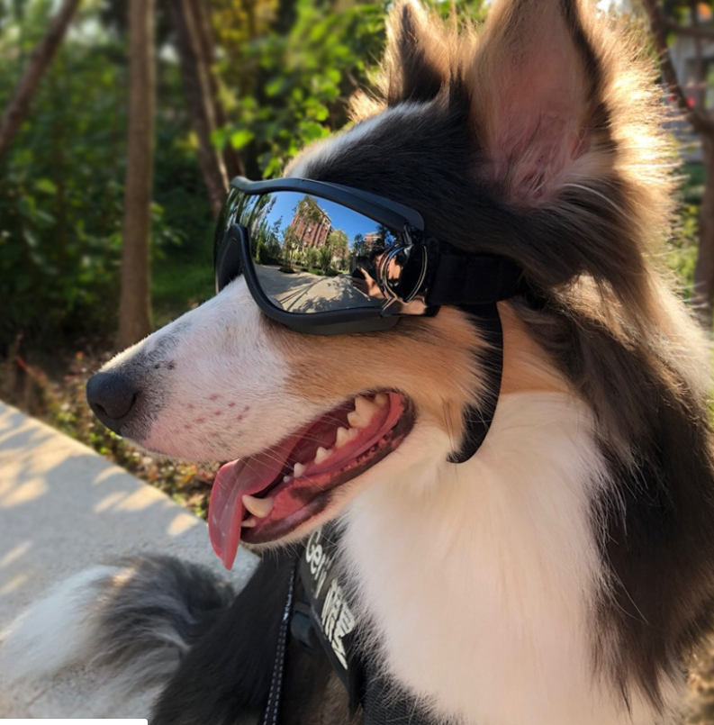 Pet glasses dog supplies goggles waterproof windproof sunscreen UV dog glasses-3