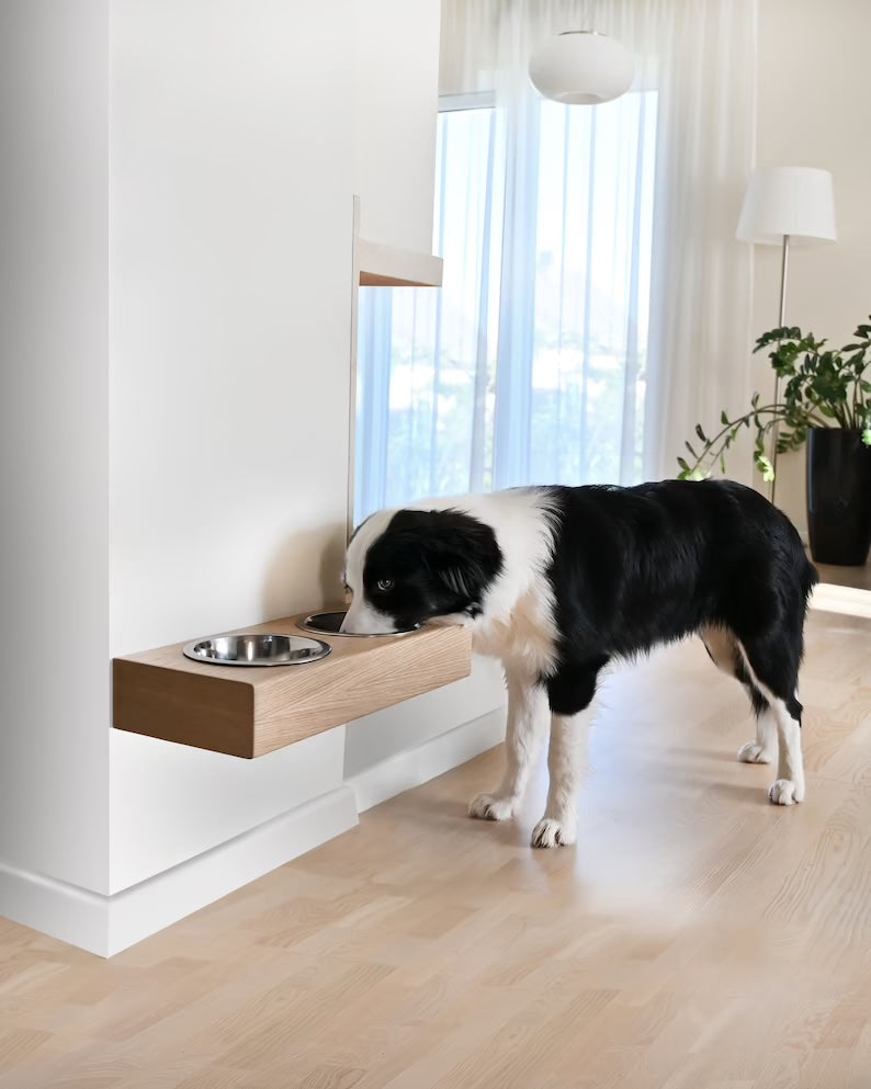 Floating Pet Feeder-1