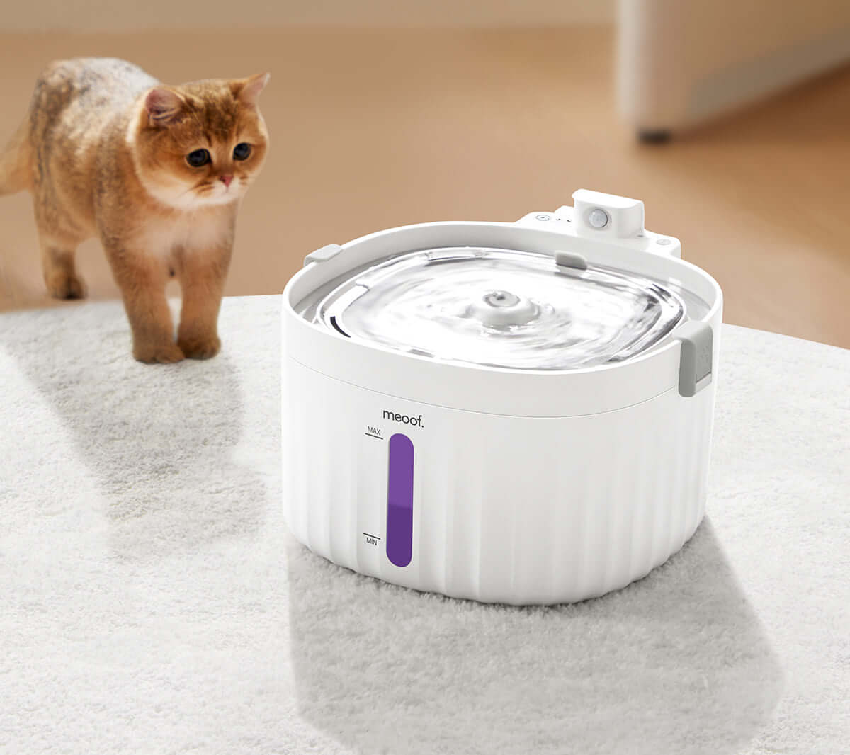 Smart Pet Water Fountain-1